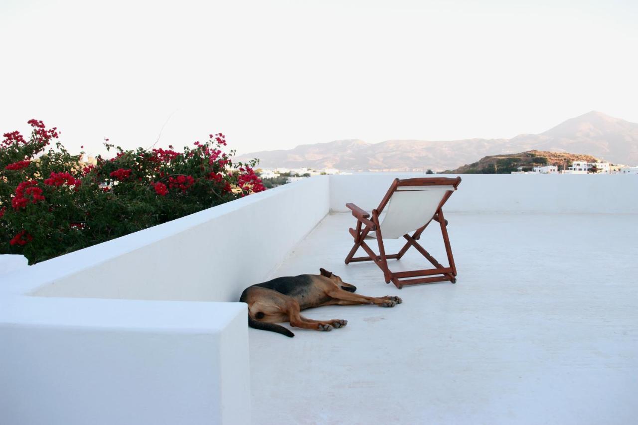 Hotel Prickly Pear House Plaka  Zewnętrze zdjęcie
