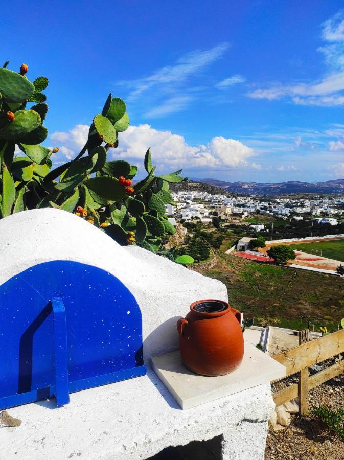 Hotel Prickly Pear House Plaka  Zewnętrze zdjęcie