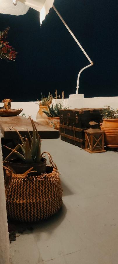 Hotel Prickly Pear House Plaka  Zewnętrze zdjęcie